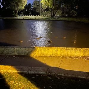 Meet your Posher, Roya